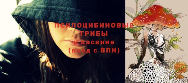 героин Богданович