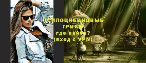 героин Богданович