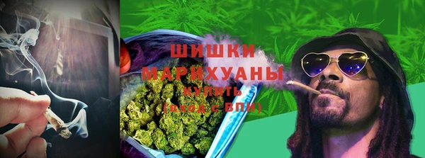винт Богородицк